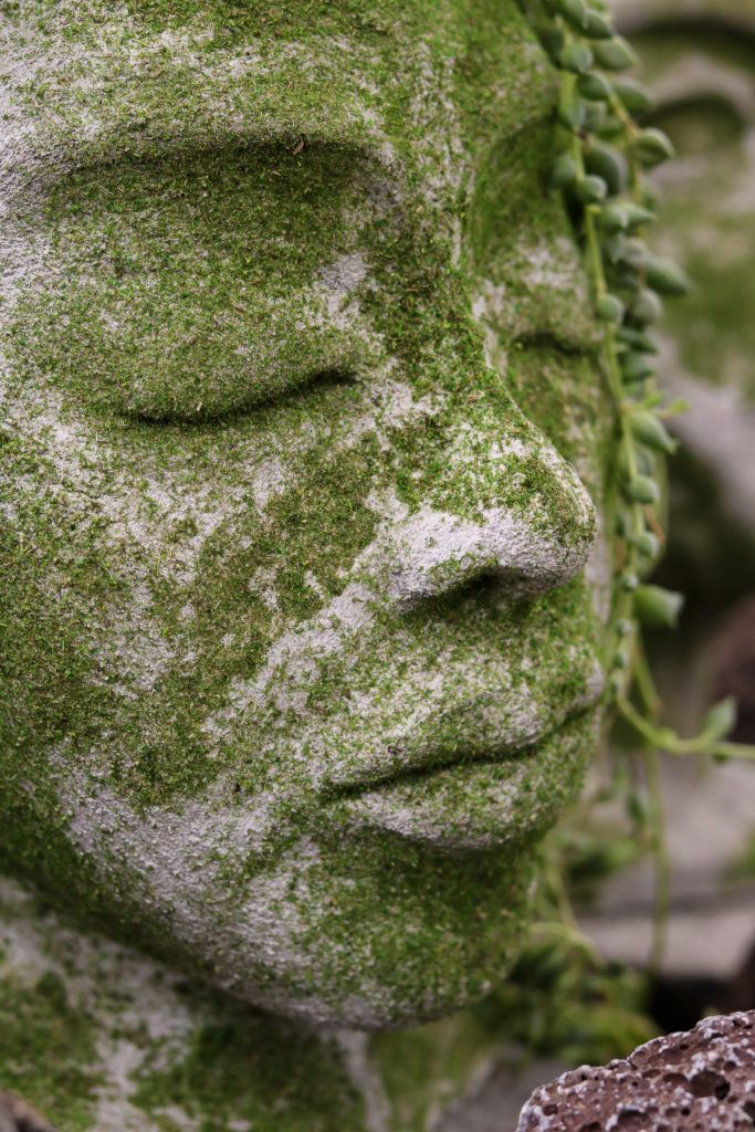 a close up of a statue with moss growing on it's head and eyes