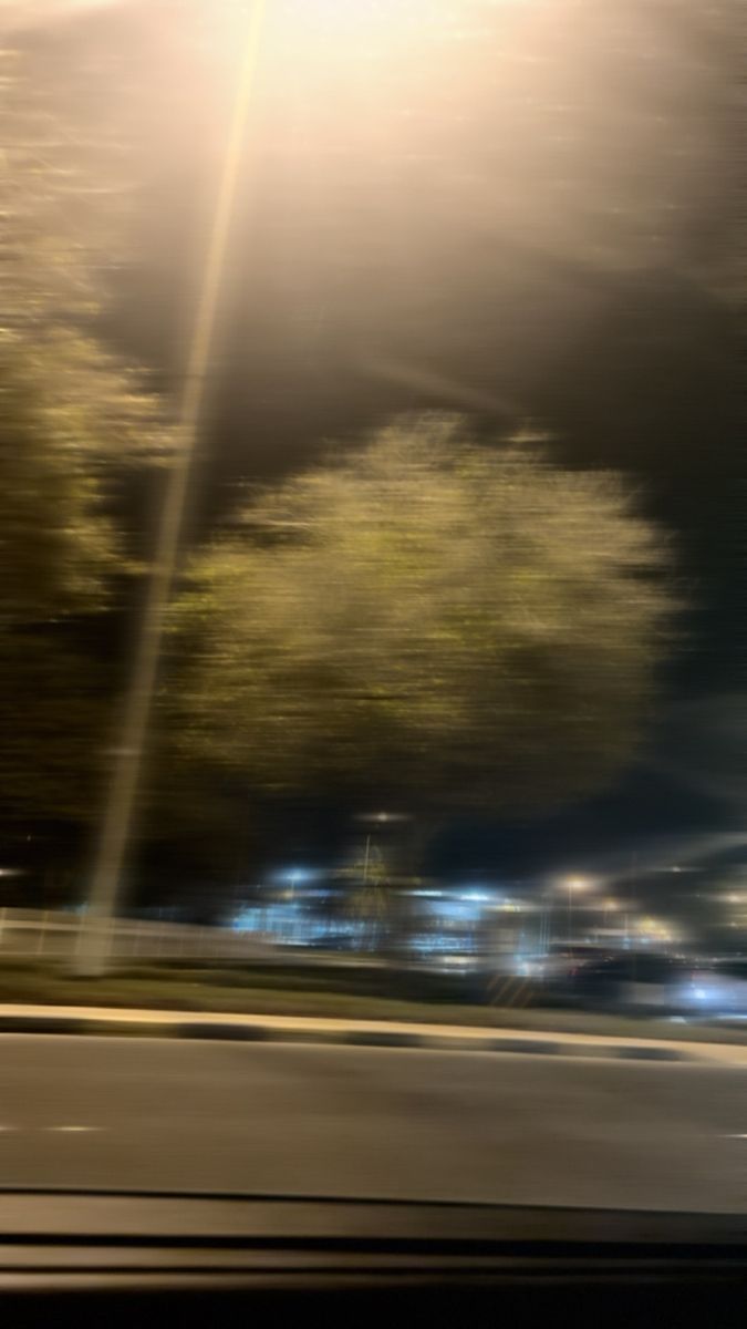 blurry photograph of trees and street lights at night