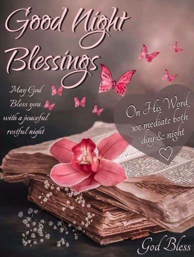 a pink flower sitting on top of an open book with butterflies flying over it and the words good night blessing