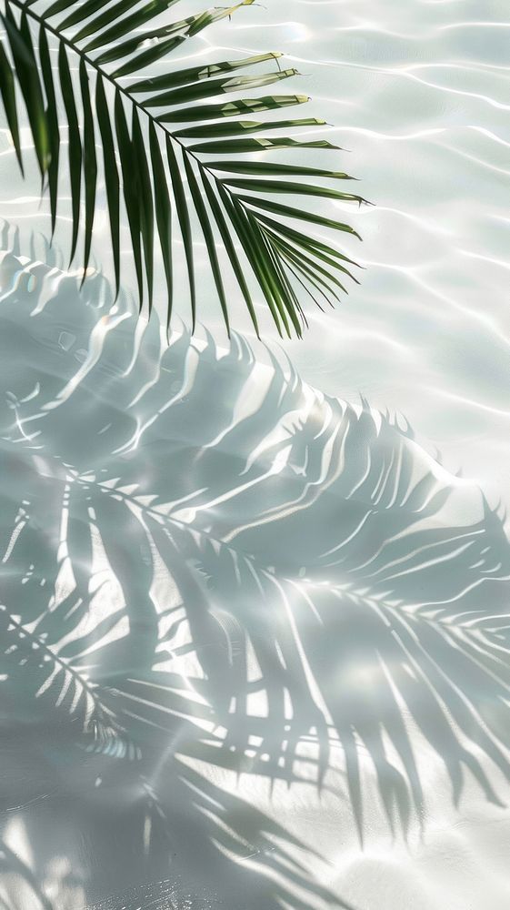 the shadow of a palm leaf on water with sunlight coming through it's leaves