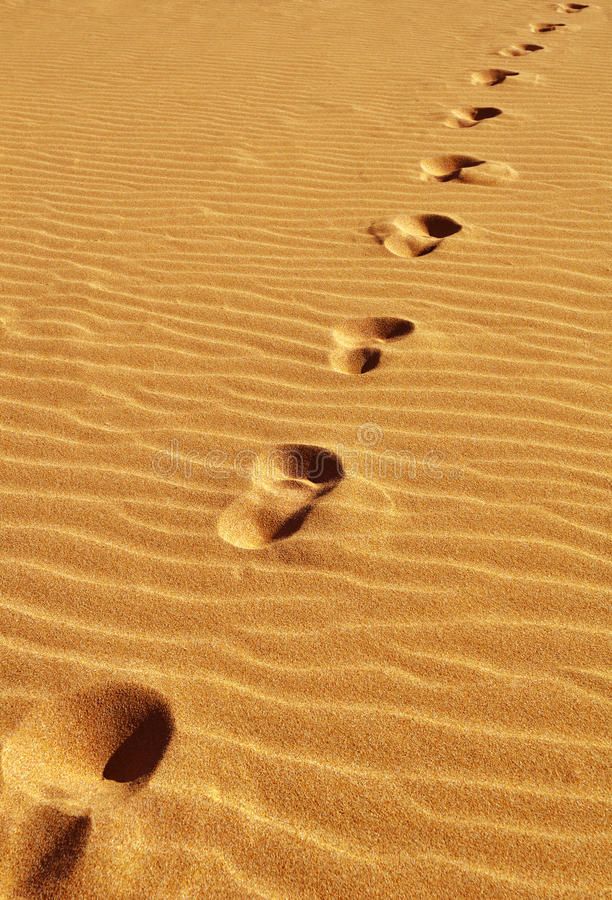 footprints in the sand stock images