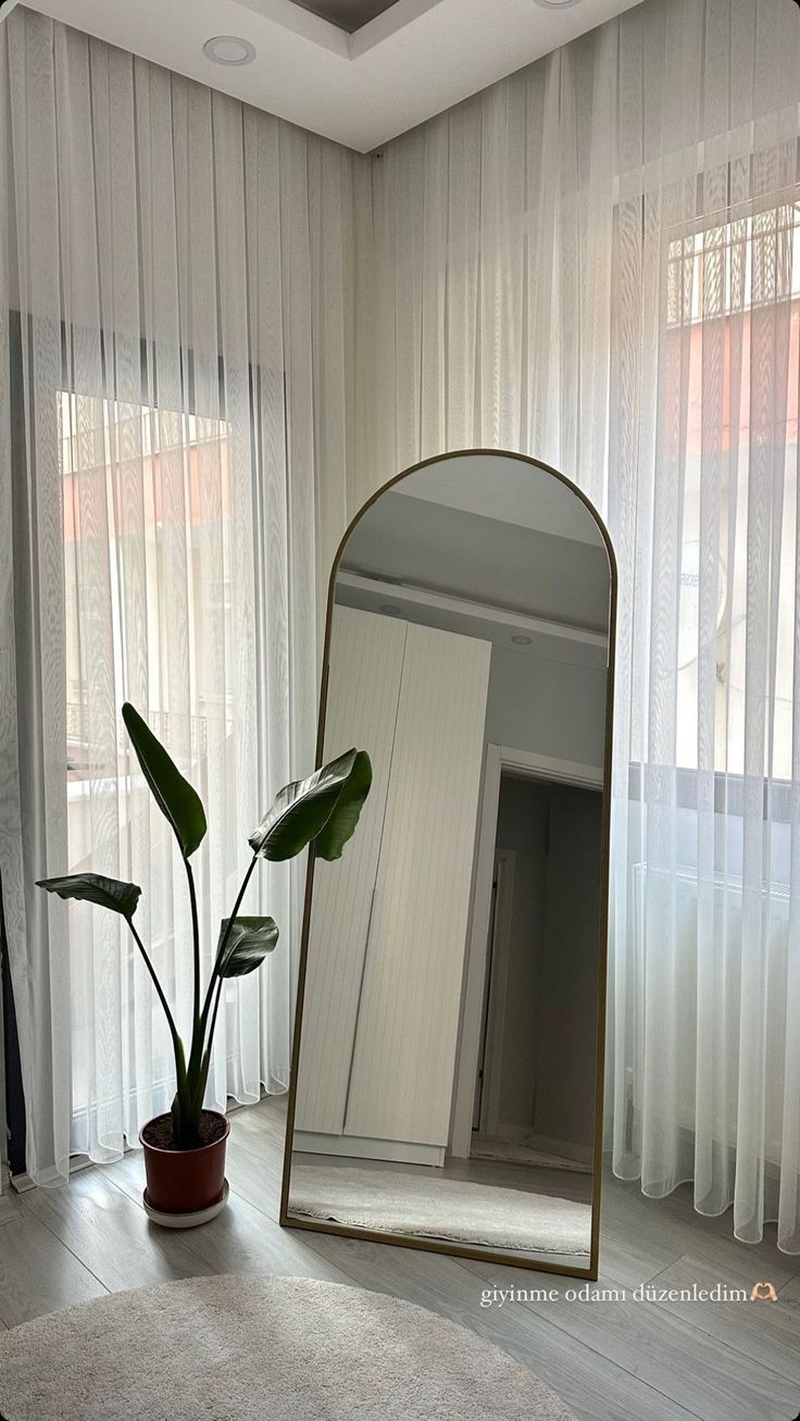 a large mirror sitting on top of a wooden floor next to a potted plant