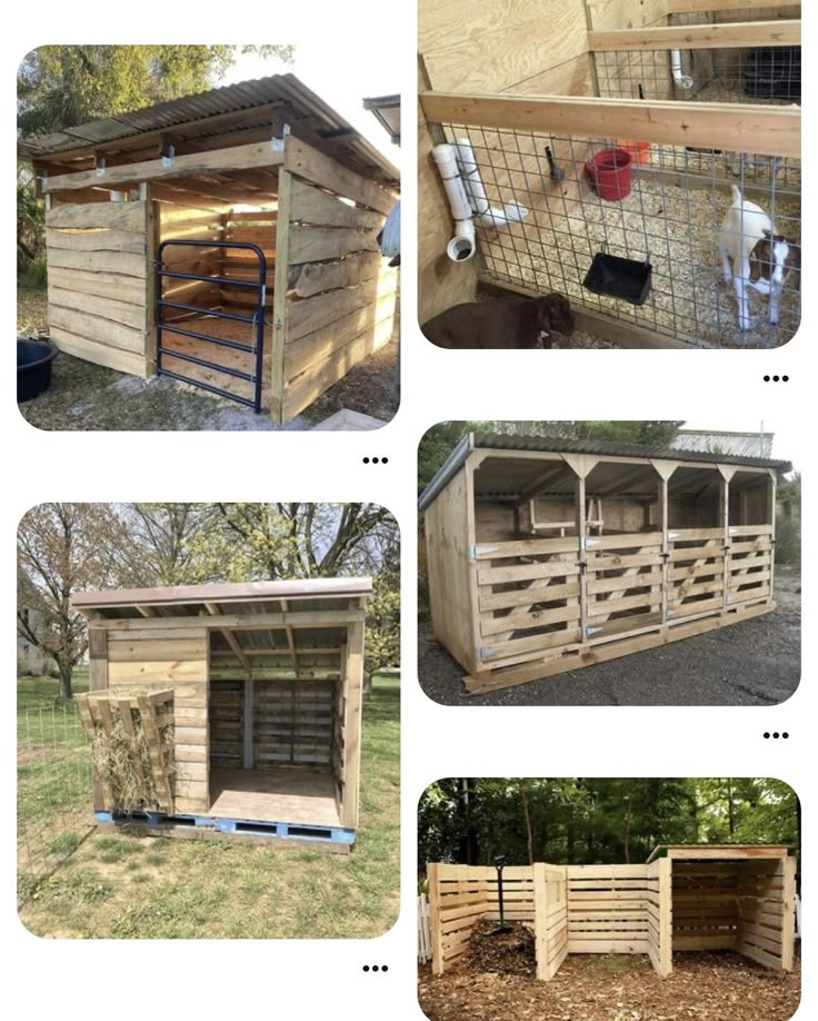 several different pictures of the inside of a chicken coop