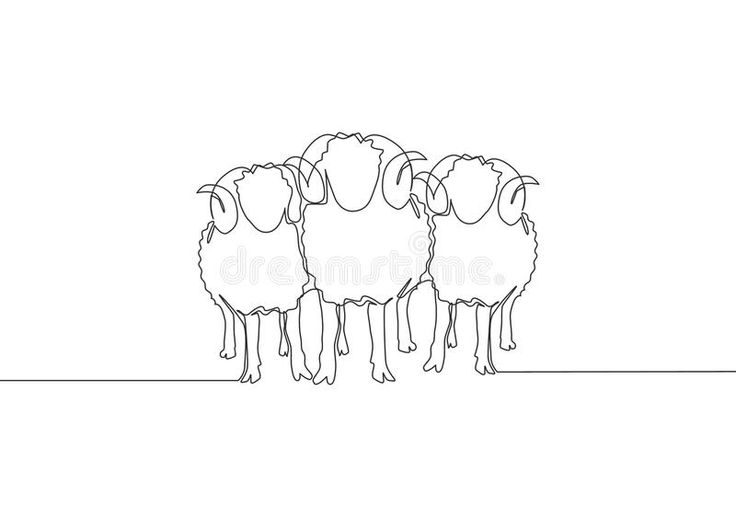 three sheep are standing in the same line, one is black and white royalty illustration