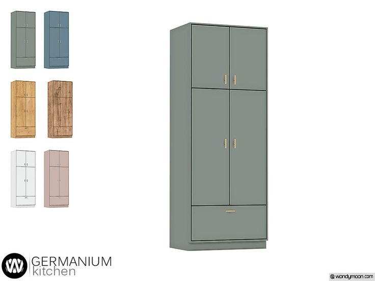 an image of a tall cabinet with doors