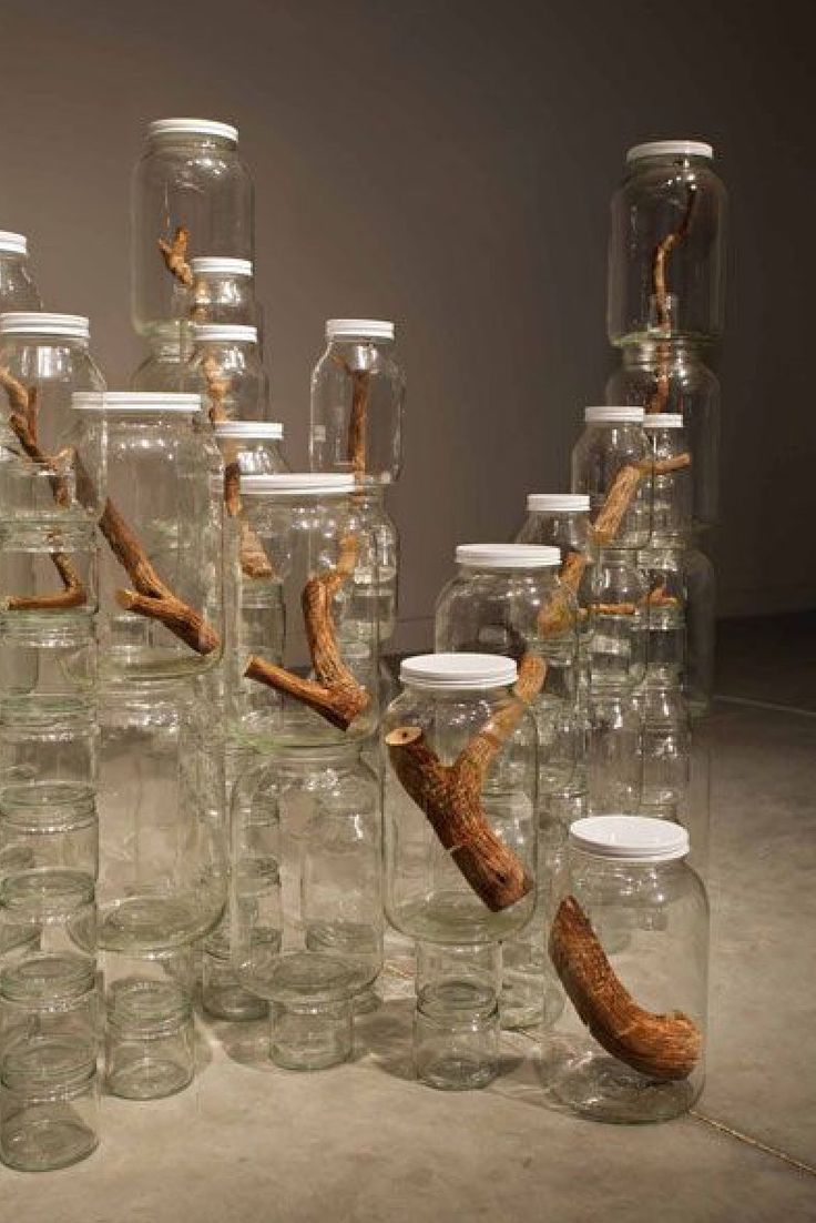 there are many glass jars with branches in them and one is filled with water bottles