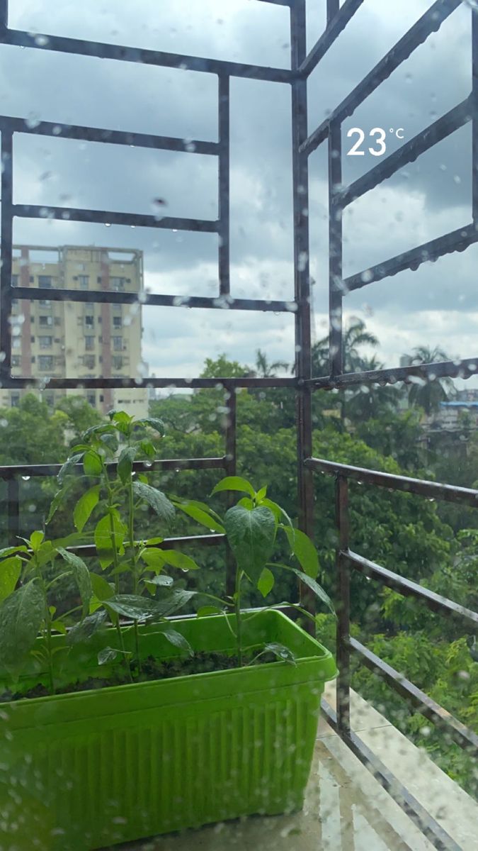 there is a green container on the balcony with trees in the back ground and buildings in the background