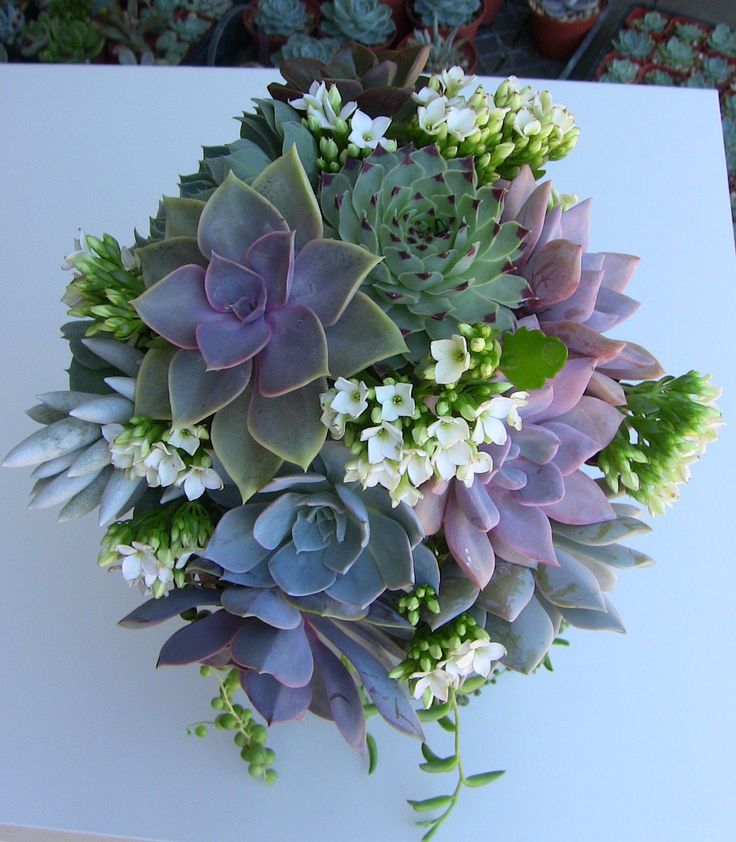 a bouquet of succulents and other flowers on top of a white table