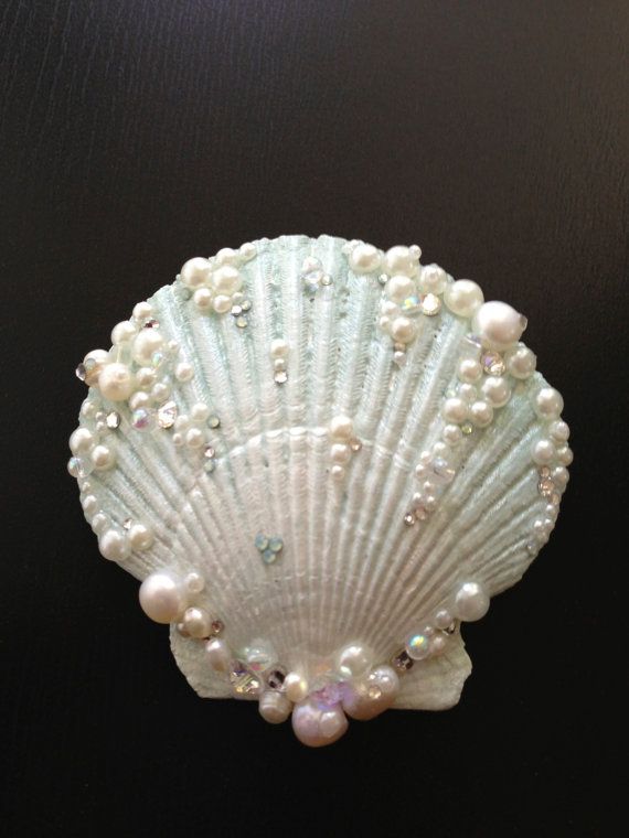 a white shell with pearls on it