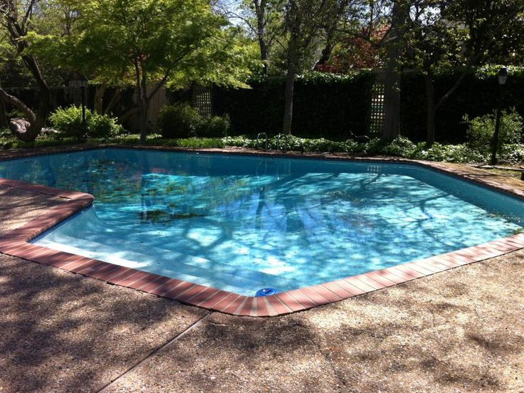 an empty swimming pool surrounded by trees and bushes