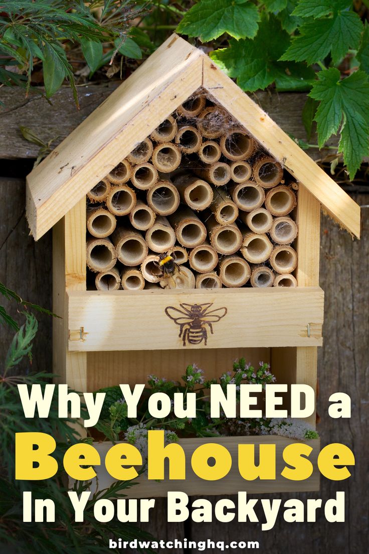 a bee house with the words why you need a beehouse in your backyard