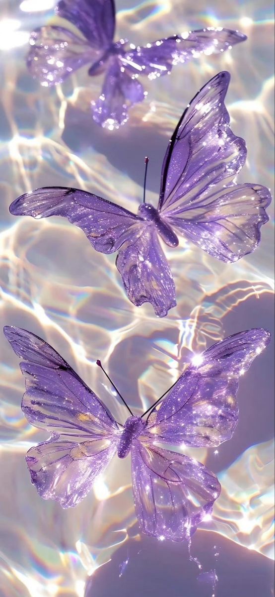 three purple butterflies floating on top of water