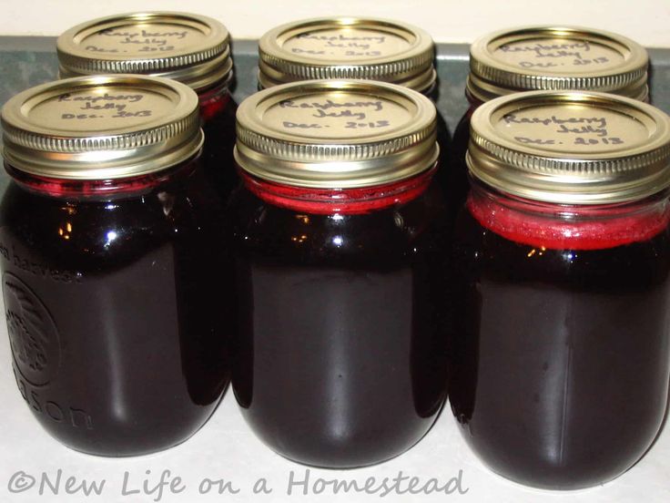 six jars of jam sitting on top of a counter