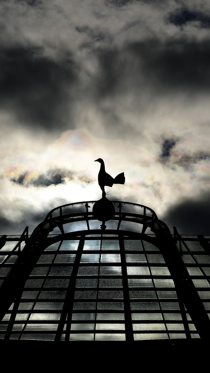 the silhouette of a bird on top of a building with dark clouds in the background