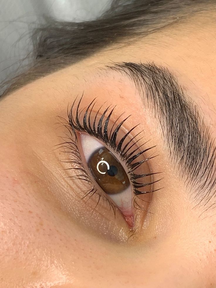 Eye Lash Photography, Eyelash Lift And Tint, Natural Fake Eyelashes, Eyelash Perm Kit, Lash Tint, Perfect Eyelashes, Eyelash Extentions, Eyelash Lift, Natural Eyelashes