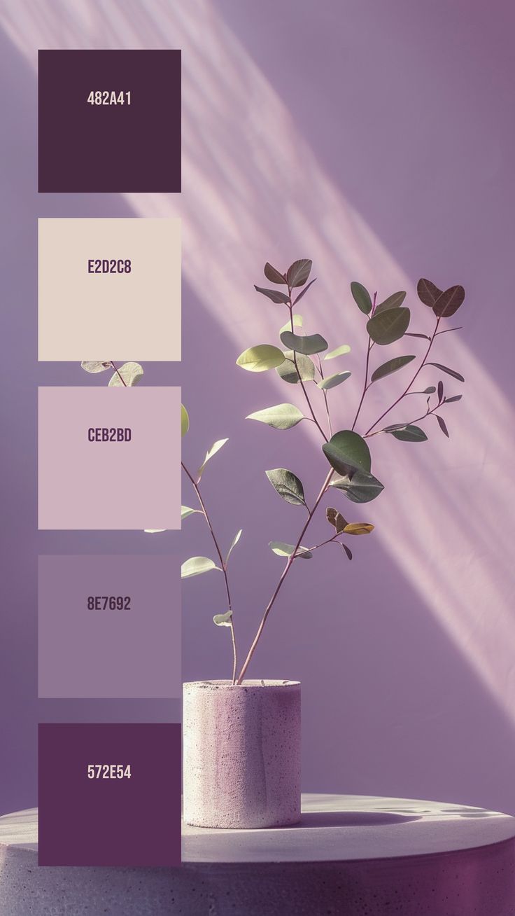 a potted plant sitting on top of a table next to a purple and white wall