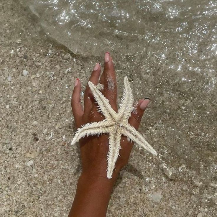 a person's hand holding a starfish on the beach