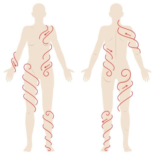 the human body is shown with spirals on it