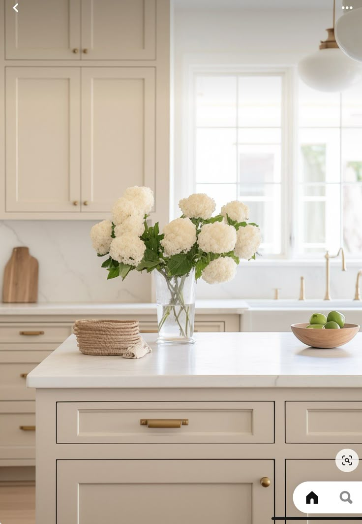 a vase with white flowers sitting on top of a kitchen counter