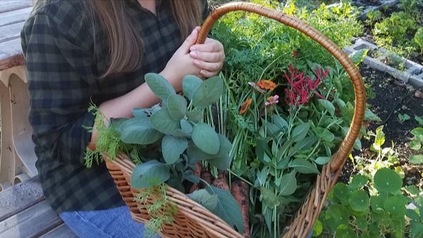 The Homestead Garden