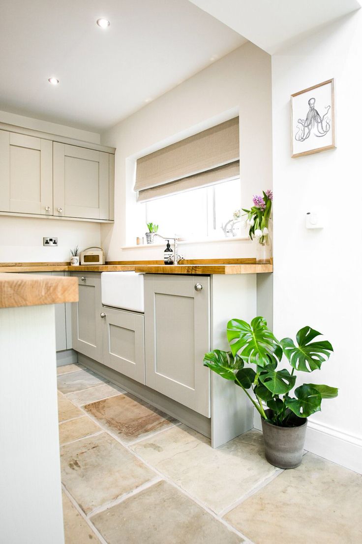 a potted plant sitting in the middle of a kitchen with white cabinets and counter tops