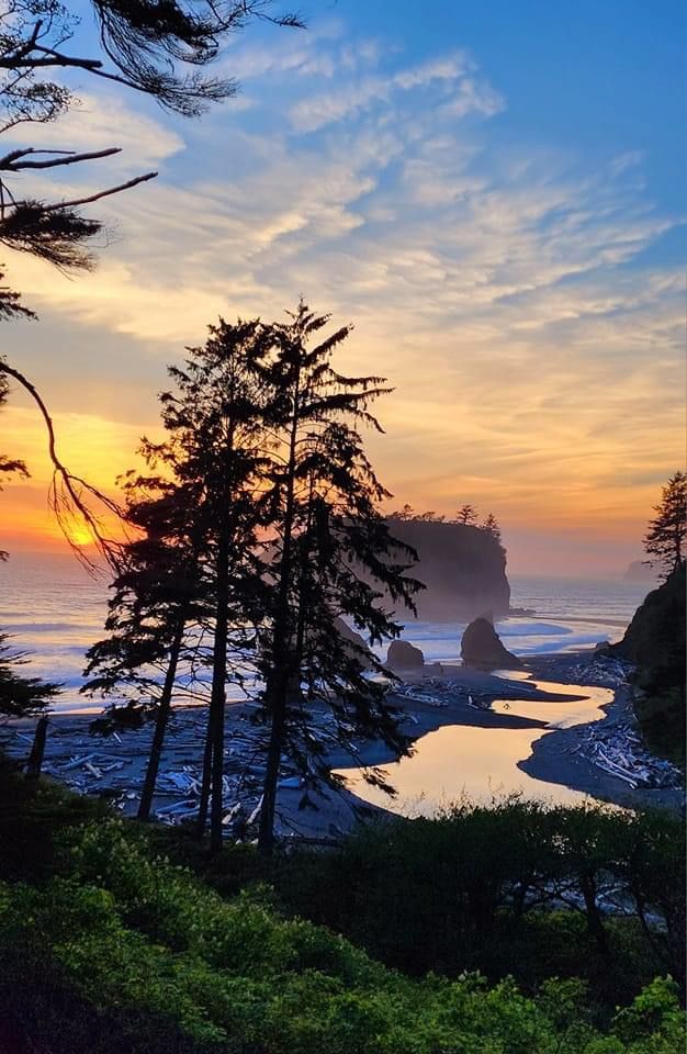 the sun is setting behind some trees on the beach by the water's edge