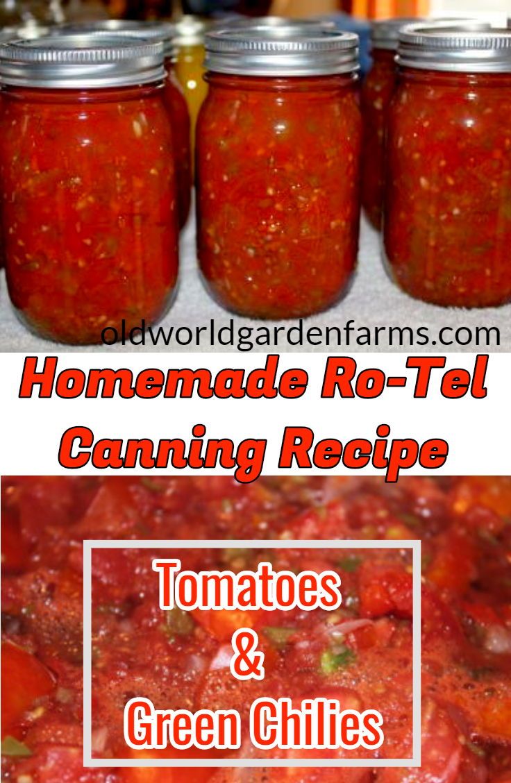 homemade re - tell canning recipe tomatoes and green chilis