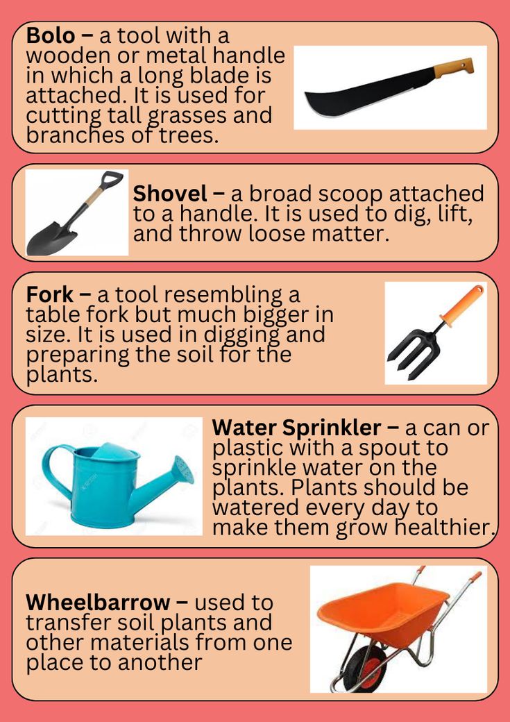 an info sheet describing different types of garden tools and how to use them for gardening