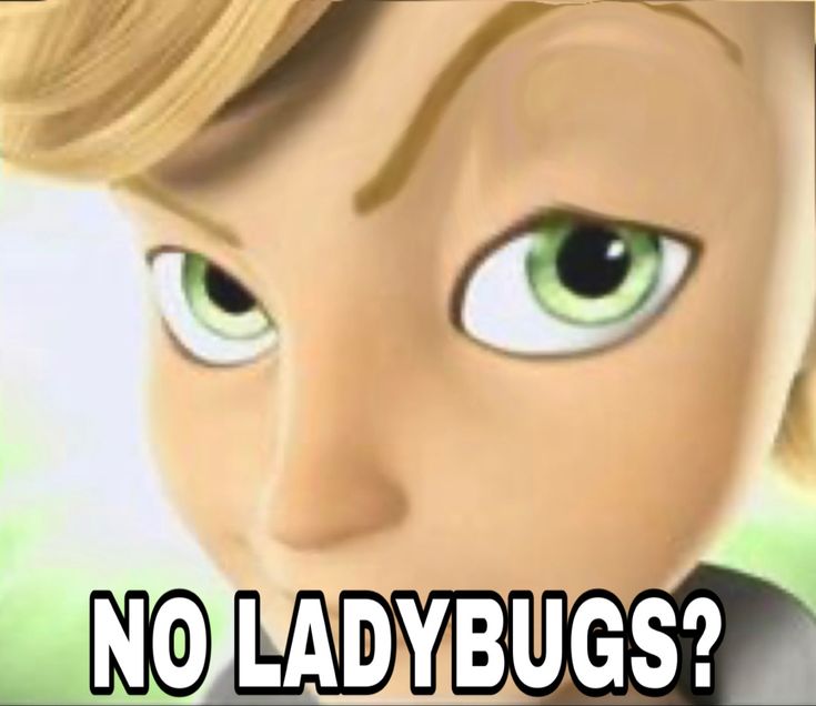 a cartoon character with the words no ladybugs?