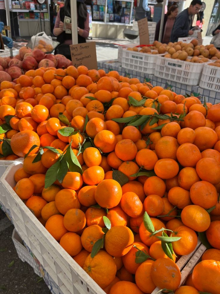 many boxes filled with oranges on display at an outdoor market