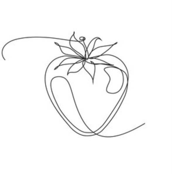 a line drawing of a tomato on a white background