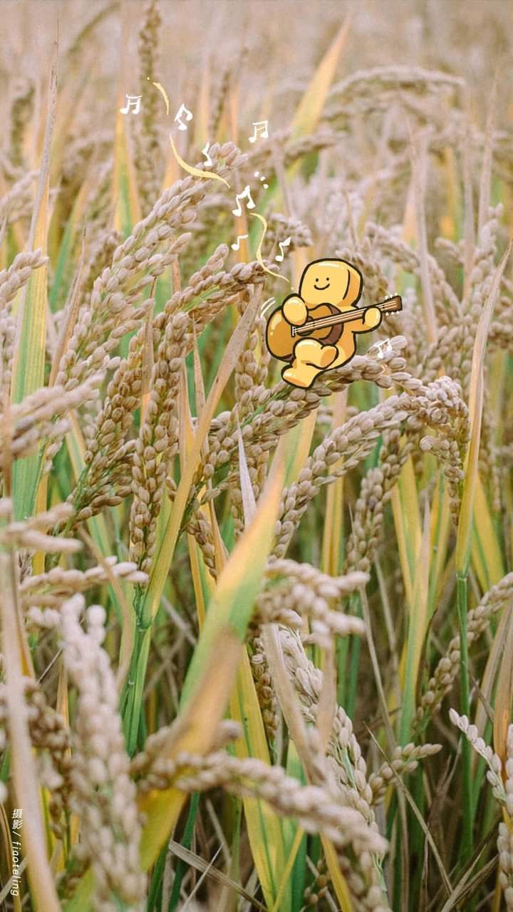 an image of a teddy bear on a sticker in the middle of a wheat field