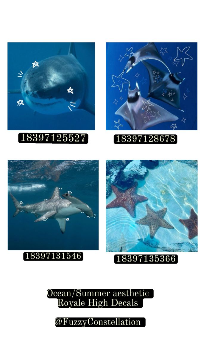 four different pictures of dolphins and starfish in the water with caption below them