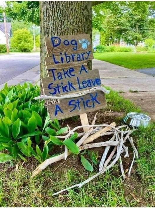 a wooden sign that says dog library take a stick leave a stick next to a tree