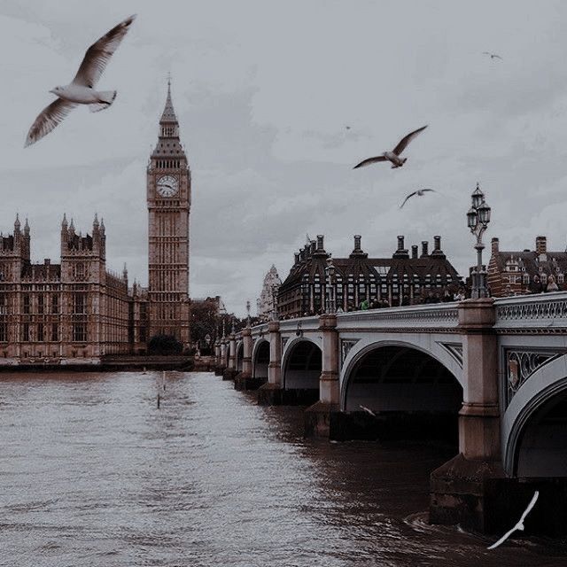 birds flying over the water in front of big ben