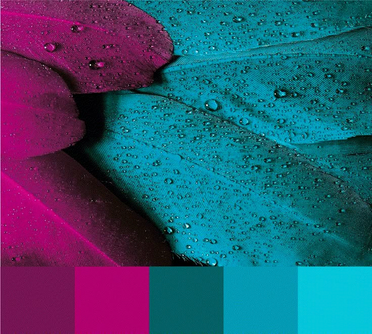 a blue and pink color scheme with water droplets on the leaves in shades of teal