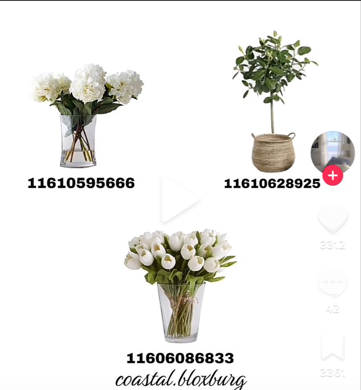 four vases with flowers in them are shown on the same page, and each has different numbers