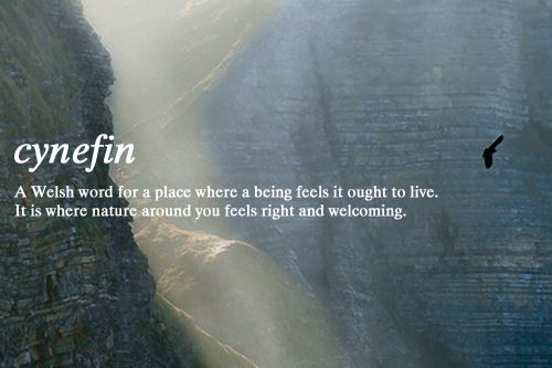 an image of a cliff with the words cynefin on it