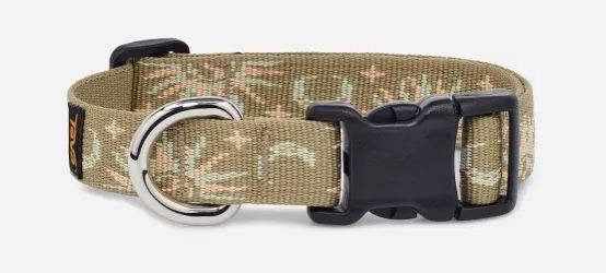 a dog collar with a black buckle and floral print on the front, it has a metal