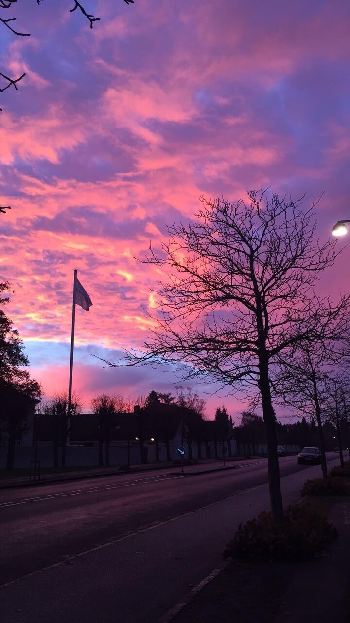 the sky is pink and purple as it sets in the distance with trees lining the street