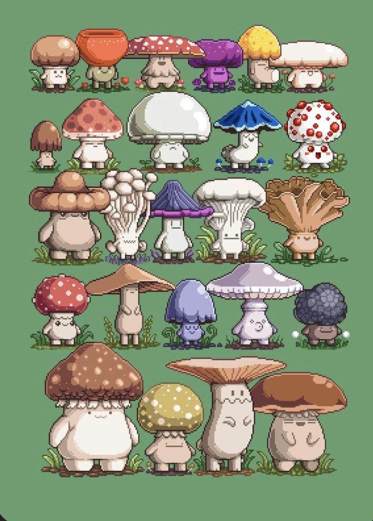 a bunch of different types of mushrooms on a green background