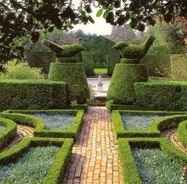 a garden with hedges and blue flowers in the center