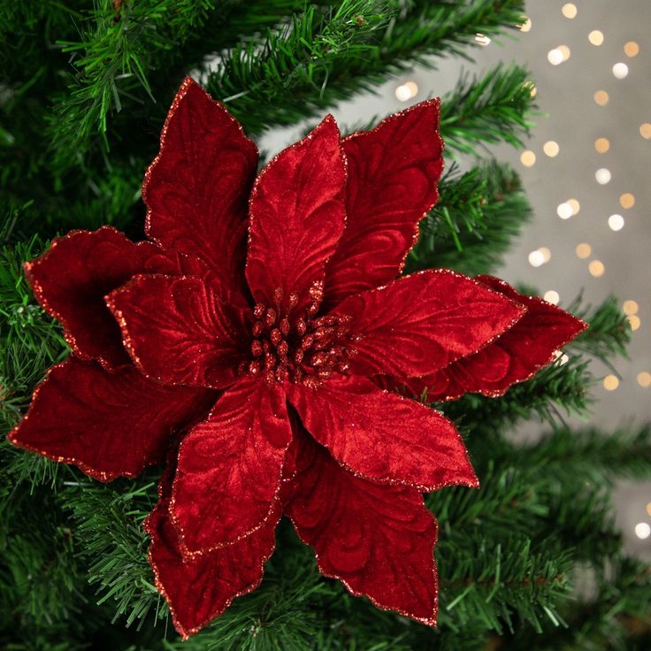 a red poinsettia flower on top of a christmas tree