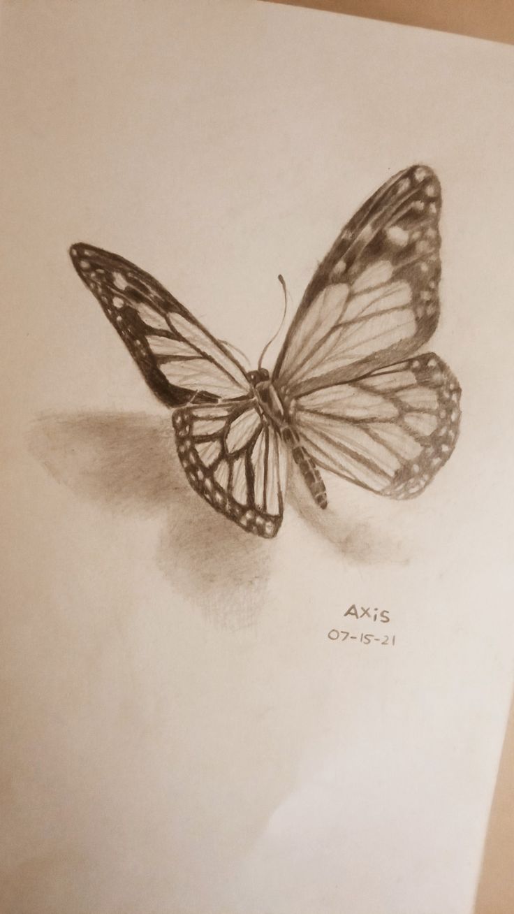 a pencil drawing of a butterfly on paper