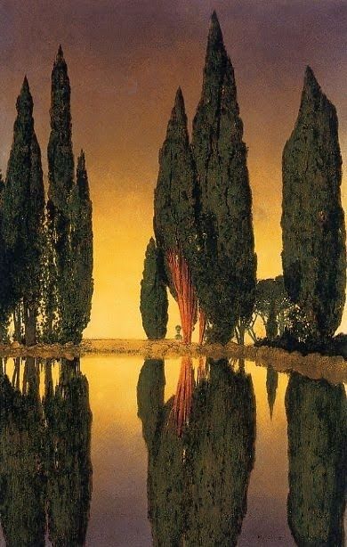 an image of trees reflected in the water