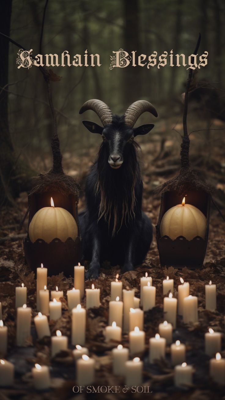 a goat sitting in the middle of a forest surrounded by candles and pumpkins with words on them