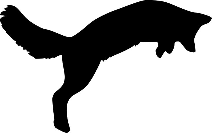 the silhouette of a dog jumping up into the air to catch a frisbee