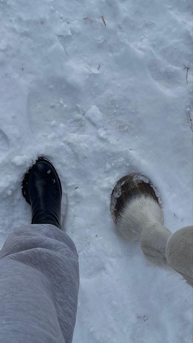 a person standing in the snow next to a dog's head and paw prints