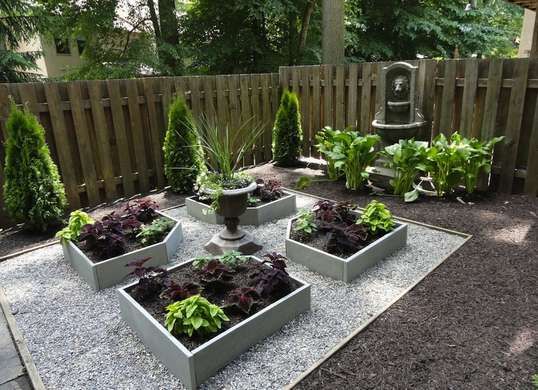 an outdoor garden with various plants in it