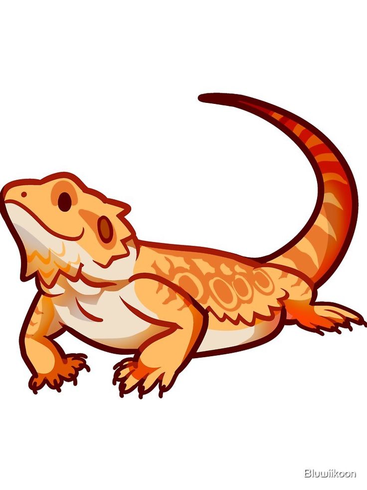 an orange and white lizard sitting on top of it's back legs with its mouth open